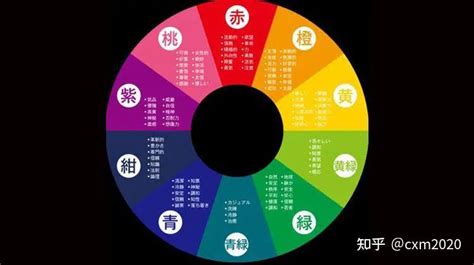 紫色五行属什么